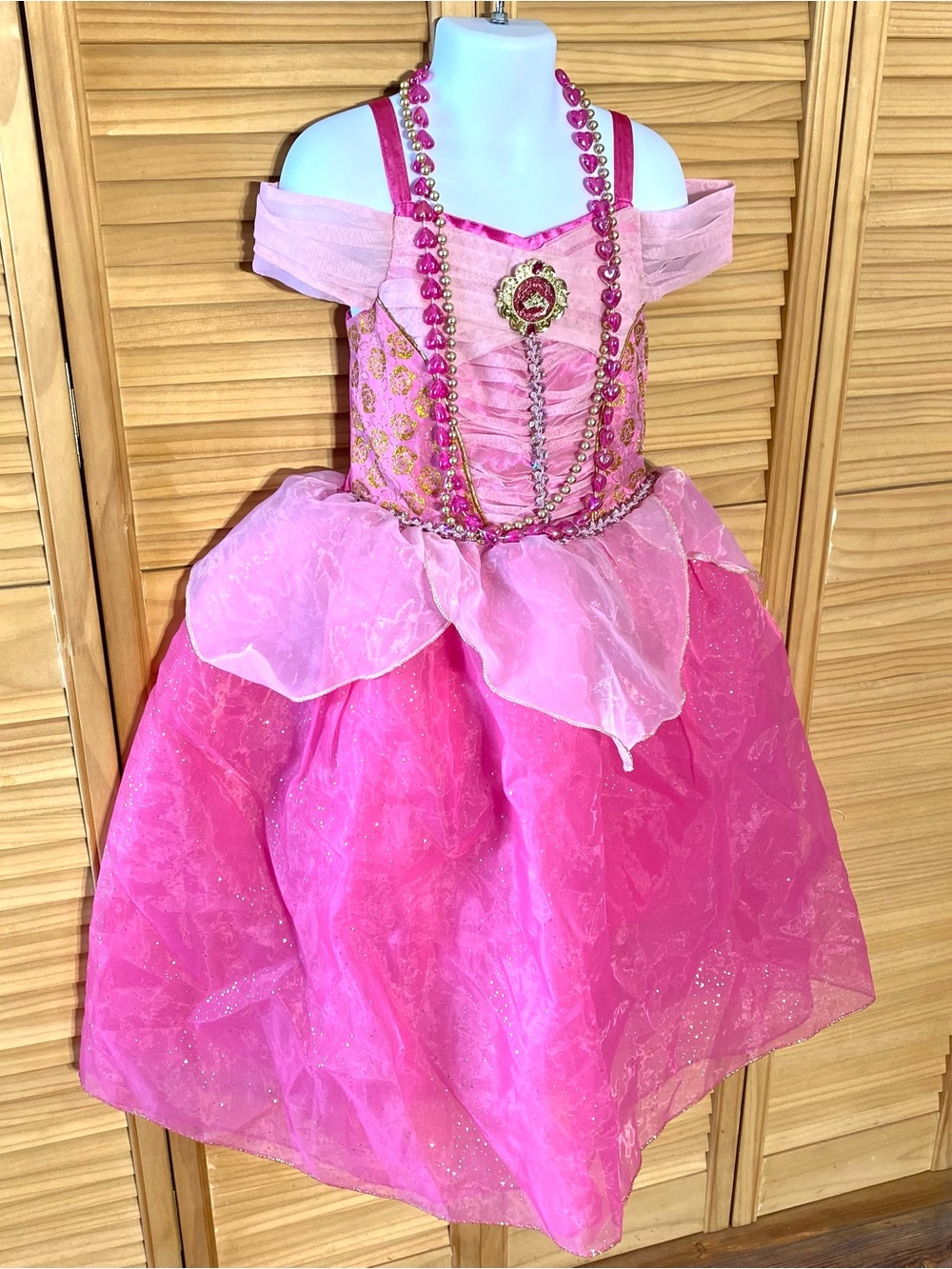 Gorgeous Girls' Disney Sleeping Beauty Princess Halloween Costume Gown